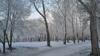 В последние выходные года в Красноярске будет тепло и снежно