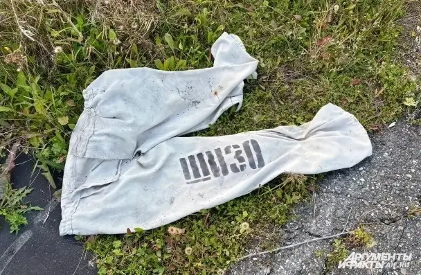 Фото: kuzbass.aif.ru / Анна Городкова