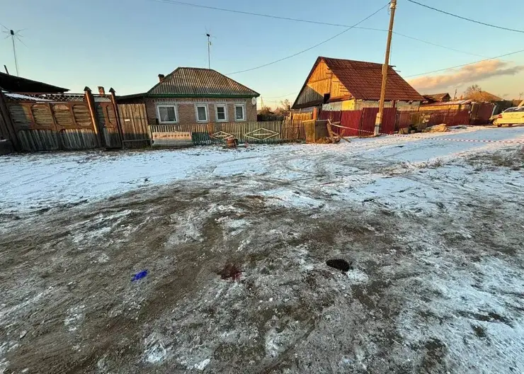 Овчарка напала на девочку в хакасском Черногорске: ее хозяйке назначили исправительные работы