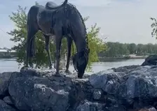 В Красноярске скульптуру лошади у БКЗ превратили в фонтан и украсили подсветкой
