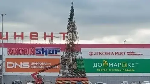 В Омске начали украшать первую новогоднюю ёлку