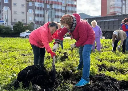 За неделю в Красноярске высадили больше 1,5 тысяч новых деревьев