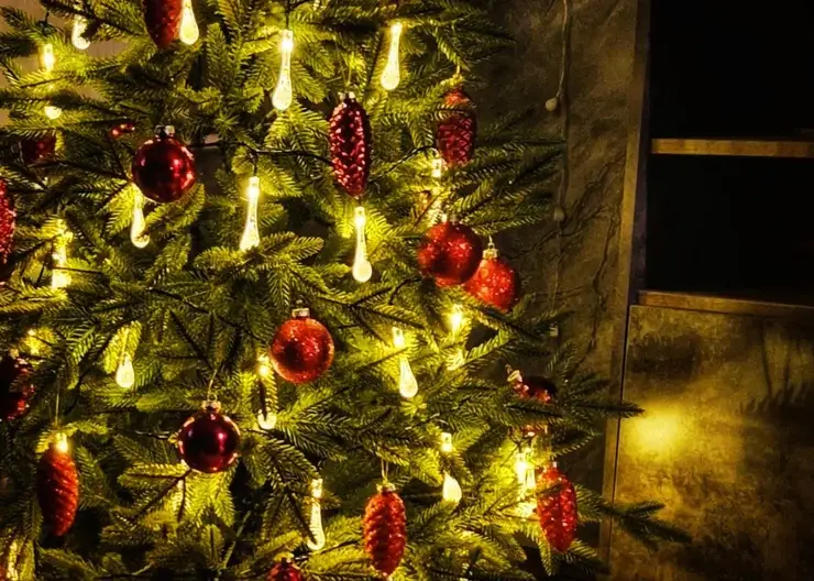 Школам Забайкалья рекомендуют отмечать Новый год в кабинетах