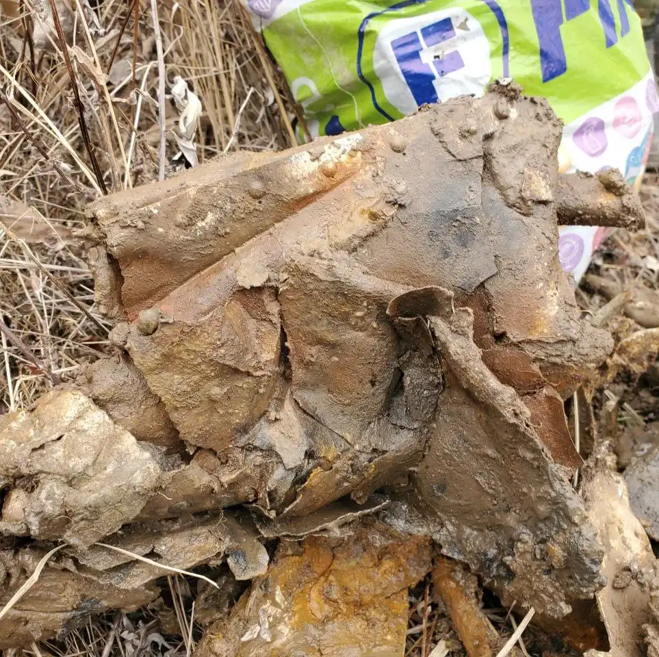 Фото: АвиаПоиск / Telegram