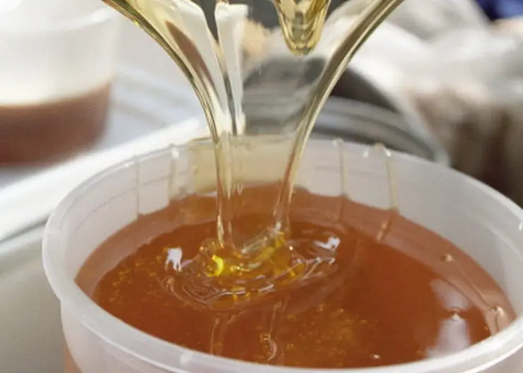 Житель Томской области украл 11 кг меда