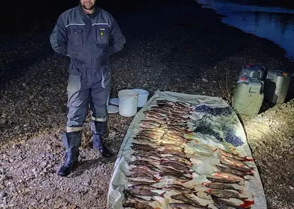Браконьер из Северо-Енисейска пойдет под суд за ловлю сетью более 80 рыб