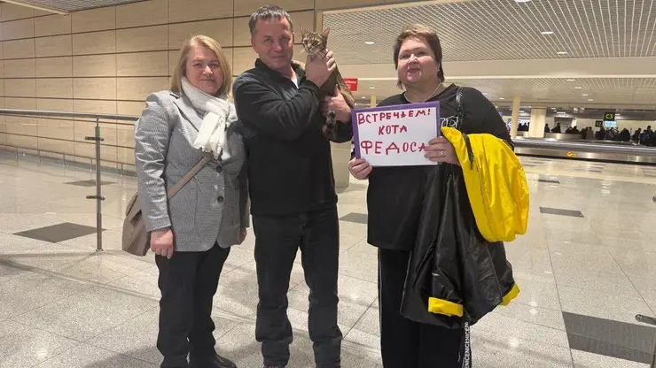 Кота, потерявшегося в поезде под Казанью, нашли через шесть дней в Амурской области