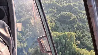 В тайге Красноярского края нашли «двухъярусный торт» из деревьев В тайге Красноярского края нашли «двухъярусный торт» из деревьев