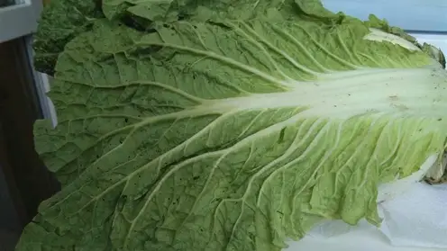 Карантинные вредители обнаружены во фруктах и овощах из Китая в Красноярском крае