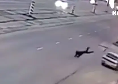 В Ачинске «ВАЗ» на огромной скорости сбил 20-летнего парня на пешеходном переходе (видео)