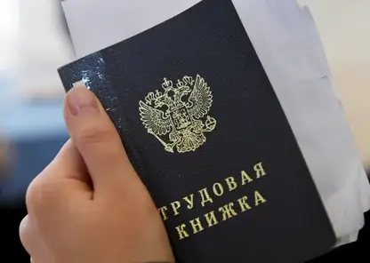 Названы самые востребованные профессии на ближайшие семь лет в Красноярском крае