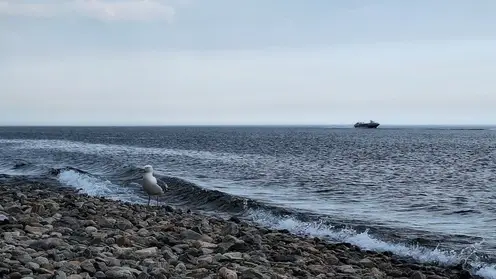 В Красноярском крае за сутки утонули два человека