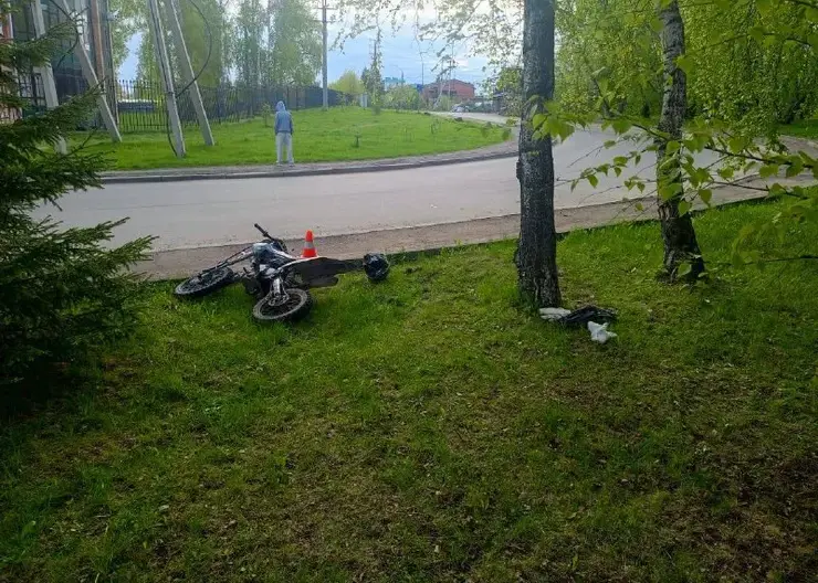 Две девочки пытались покататься на мотоцикле в Красноярске и врезались в дерево: обе госпитализирваны
