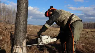 Лесные пожарные Красноярского края осваивают профессию летчика-наблюдателя