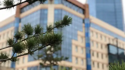 Министерство экологии Красноярского края требует взыскать 15,5 млн рублей за загрязнение почвы в Канске