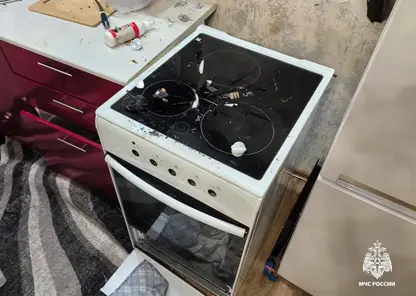 В Новосибирске собака устроила взрыв в квартире