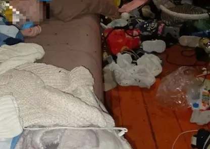 В Красноярском крае у матери из-за антисанитарных условий изъяли ребенка