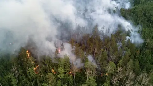 Самый высокий класс пожарной опасности установлен в ряде районов Бурятии