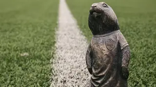 В Красноярске с набережной пропал суслик-футболист