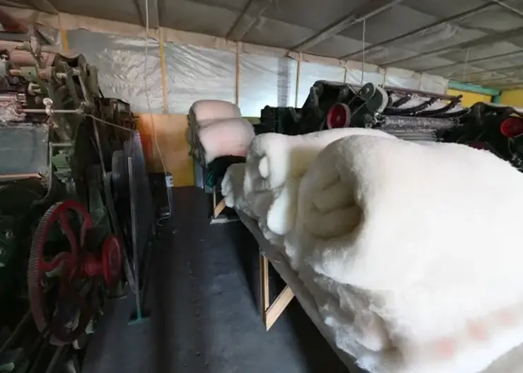 Забайкалье и Бурятия объединятся для создания кластера по переработке шерсти