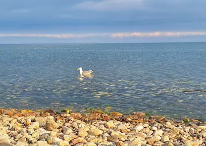 Жёлто‑зелёная вода в Байкале: что случилось у Кругобайкальской железной дороги?