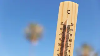 30-градусная жара сохранится в Красноярске в июле: публикуем прогноз погоды на месяц
