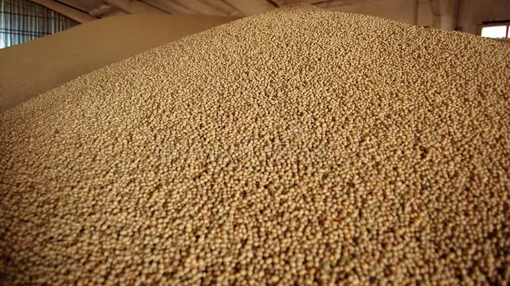 Из Красноярского края за три месяца экспортировали вдвое больше зерна, чем в прошлом году
