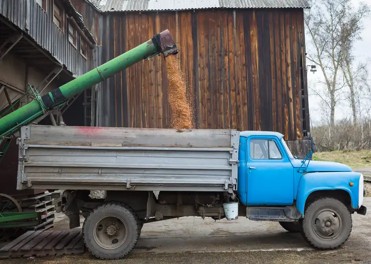Зернопроизводителей Красноярского края дополнительно поддержат