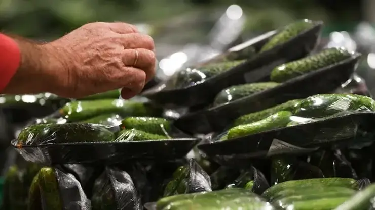 Красноярский край стал одним из регионов, где огурцы продаются дороже всего