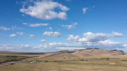 Каменные плиты с изображениями сцен охоты нашли в древних погребениях Хакасии