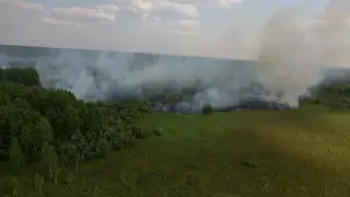 Большая часть лесных пожаров в Томской области произошли по вине людей