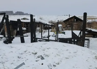 Женщина в Красноярском крае фиктивно зарегистрировала мигрантов в сгоревшем доме