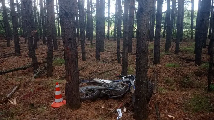 В Новосибирской области погиб 18-летний водитель питбайка, врезавшись в дерево