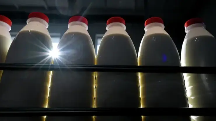 Роспотребнадзор оштрафовал красноярское предприятие за грубые нарушения при производстве молочной продукции