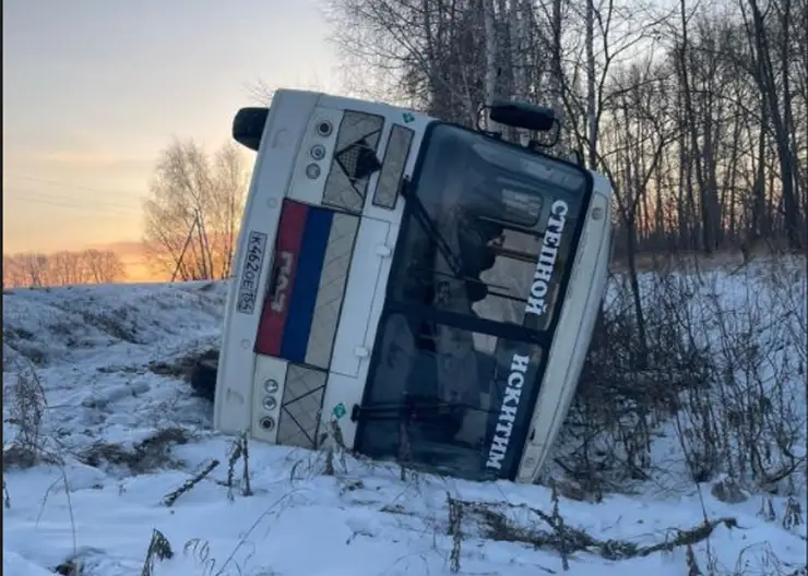 В Новосибирской области перевернулся автобус с семью пассажирами внутри