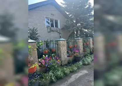 Красноярцам показали, что пенсионерка сделала со своим палисадником