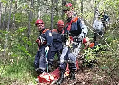 Девушка упала со скалы Ермак на  «Красноярских столбах». Ее пришлось эвакуировать