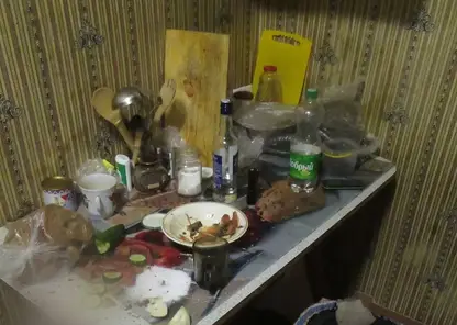 Более 50 ножевых ранений: житель Хакасии предстанет перед судом за убийство сожительницы