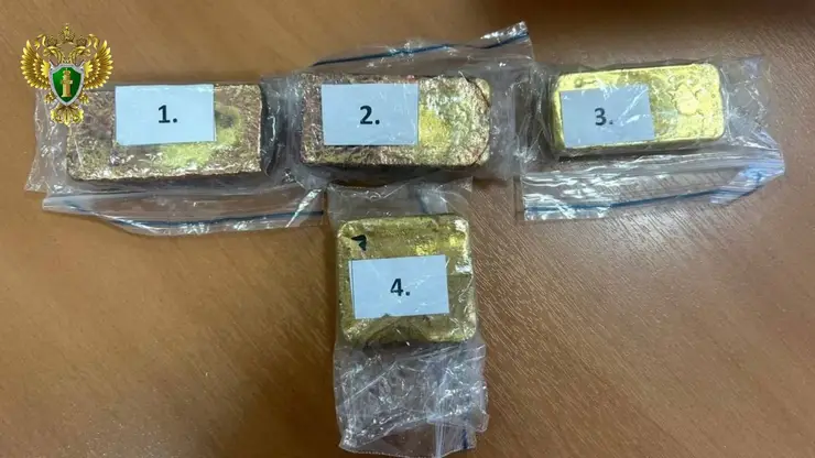 Иностранец получил штраф за попытку контрабанды крупной партии золота в Забайкалье