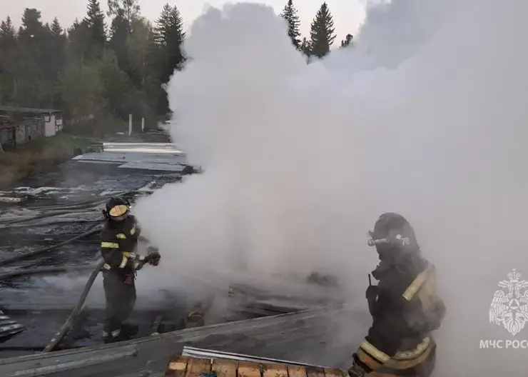 14 пожаров потушили в Красноярском крае за минувшие сутки