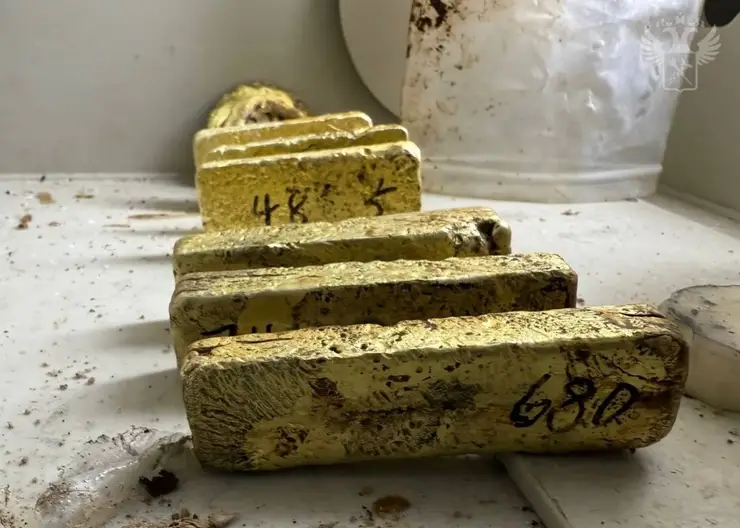 На Дальнем Востоке китаец пытался вывезти из страны золотые слитки на 267 млн рублей