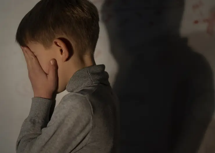Пытались оспорить приговор. История с изнасилованием 10-летнего мальчика из Тувы получила продолжение