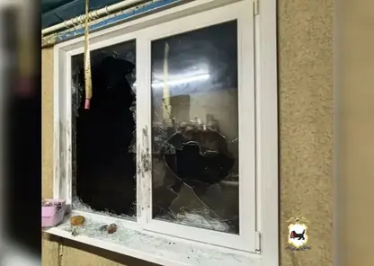 Из-за поросёнка четверо парней разгромили дом соседа в Иркутской области
