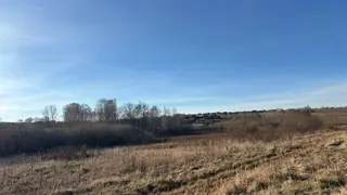 Бастрыкин потребовал доклад по делу о смерти 10-летнего мальчика под Красноярском