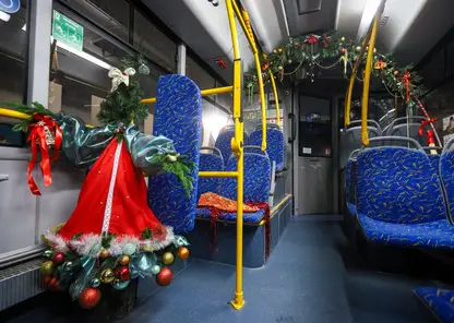 Красноярские кондукторы своими силами создали новогоднюю атмосферу в автобусах