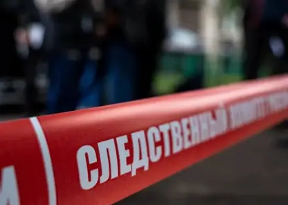 Охотник из Иркутской области застрелил заготовителя дров, приняв его за волка