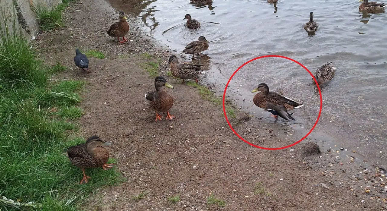 Фото: sibnovosti.ru