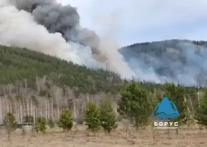 Сильнейший лесной пожар начался рядом с посёлком Манский