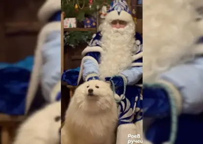 В Красноярске сегодня открывается Заимка Деда Мороза