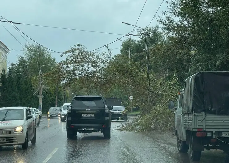 Упавшее на троллейбусные провода дерево на Киренского убрали коммунальщики в Красноярске